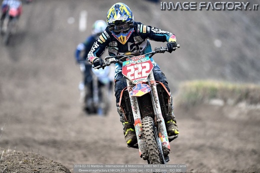 2019-02-10 Mantova - Internazionali di Motocross 20907 MX1 222 Antonio Cairoli